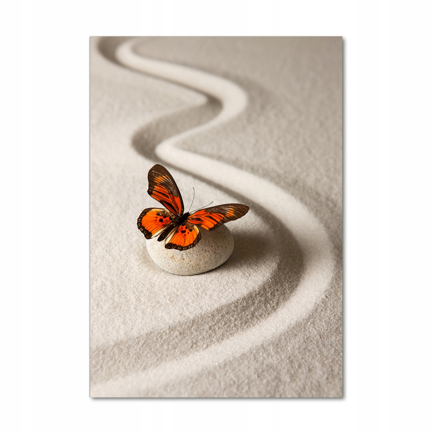 

Foto obraz akrylowy Kamień zen i motyl 70x100 cm