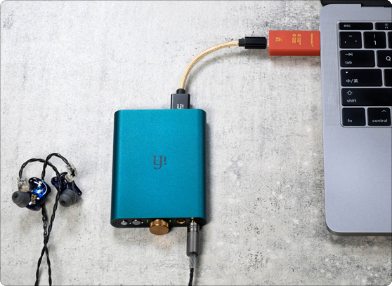 IFI AUDIO iDEFENDER+ REDUKTOR SZUMÓW Z USB 3.0 A-A Marka IFI Audio