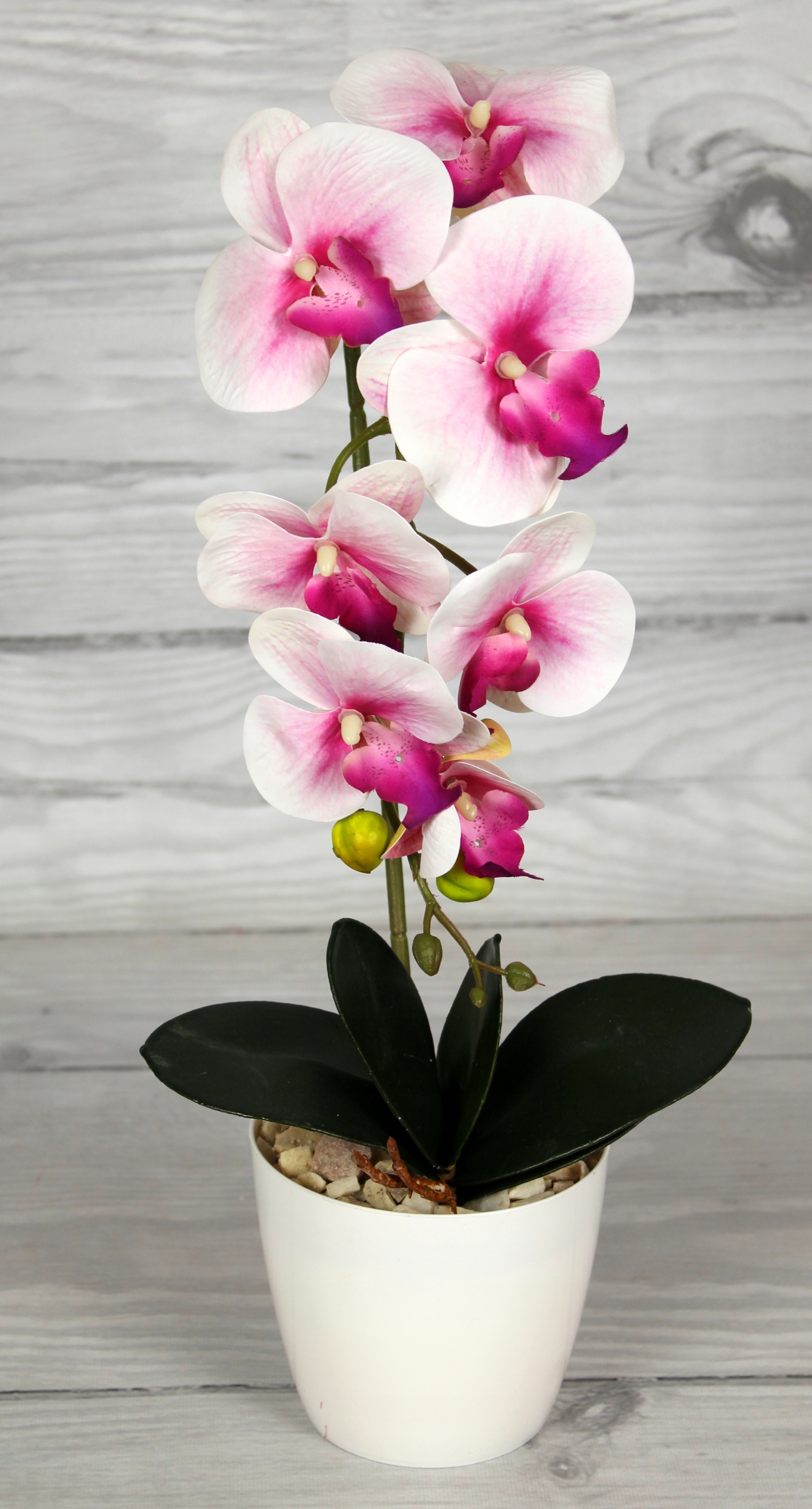 STORCZYK SZTUCZNY STORCZYKI ORCHIDEA KWIAT KWIATY Kod producenta Storczyk silikonowy