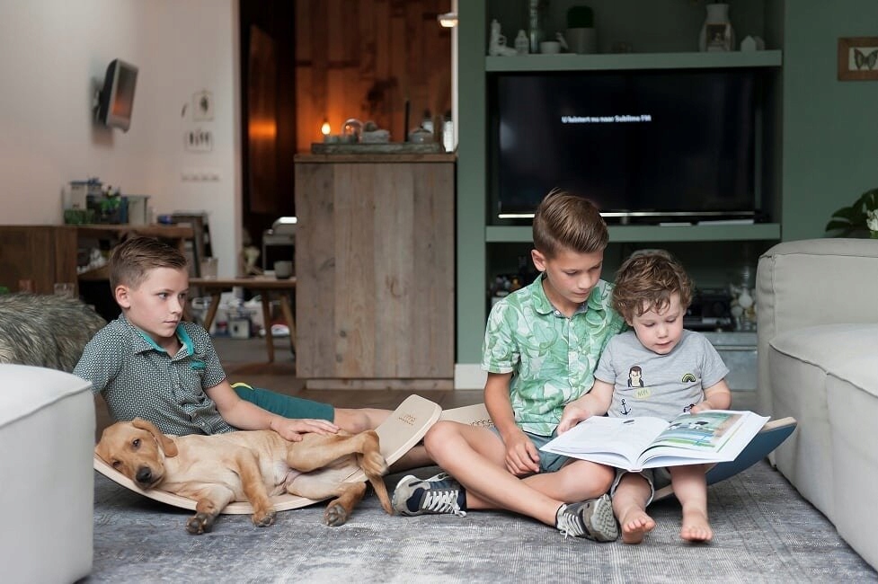 Deska do balansowania dla dzieci z filcem Róż + KARTY DO JOGI Gratis Wobbel Szerokość produktu 30 cm