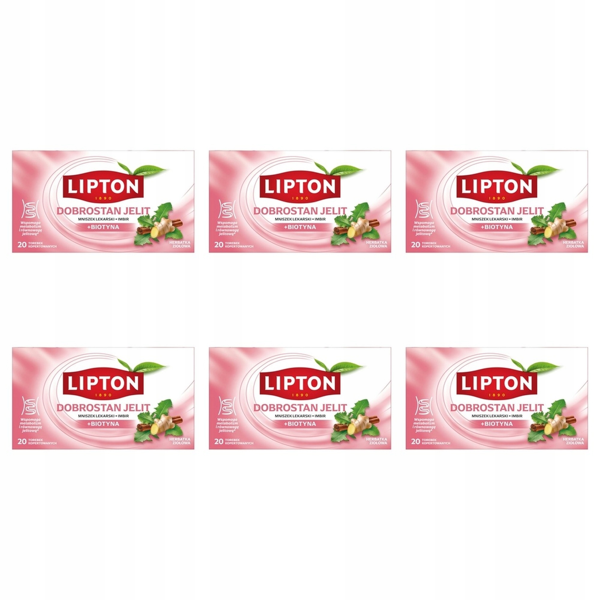 6 x 20 tb Čaj Lipton pampeliška zázvor biotin na metabolismus 38 g