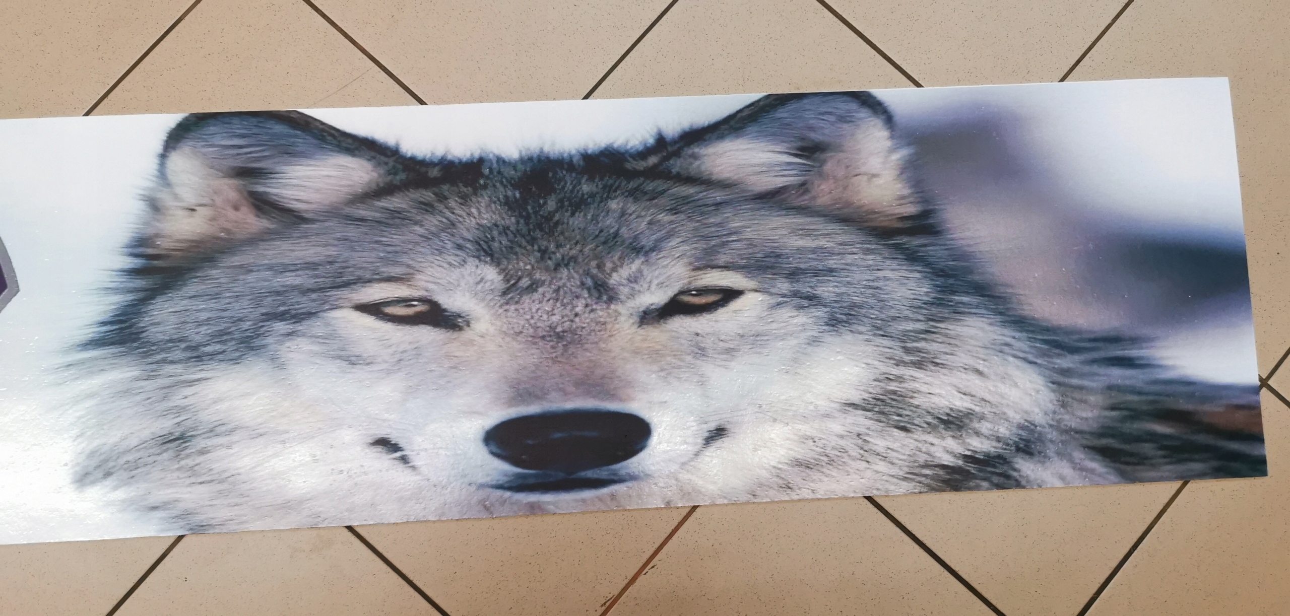 134aee1648718d8e45a69390f868