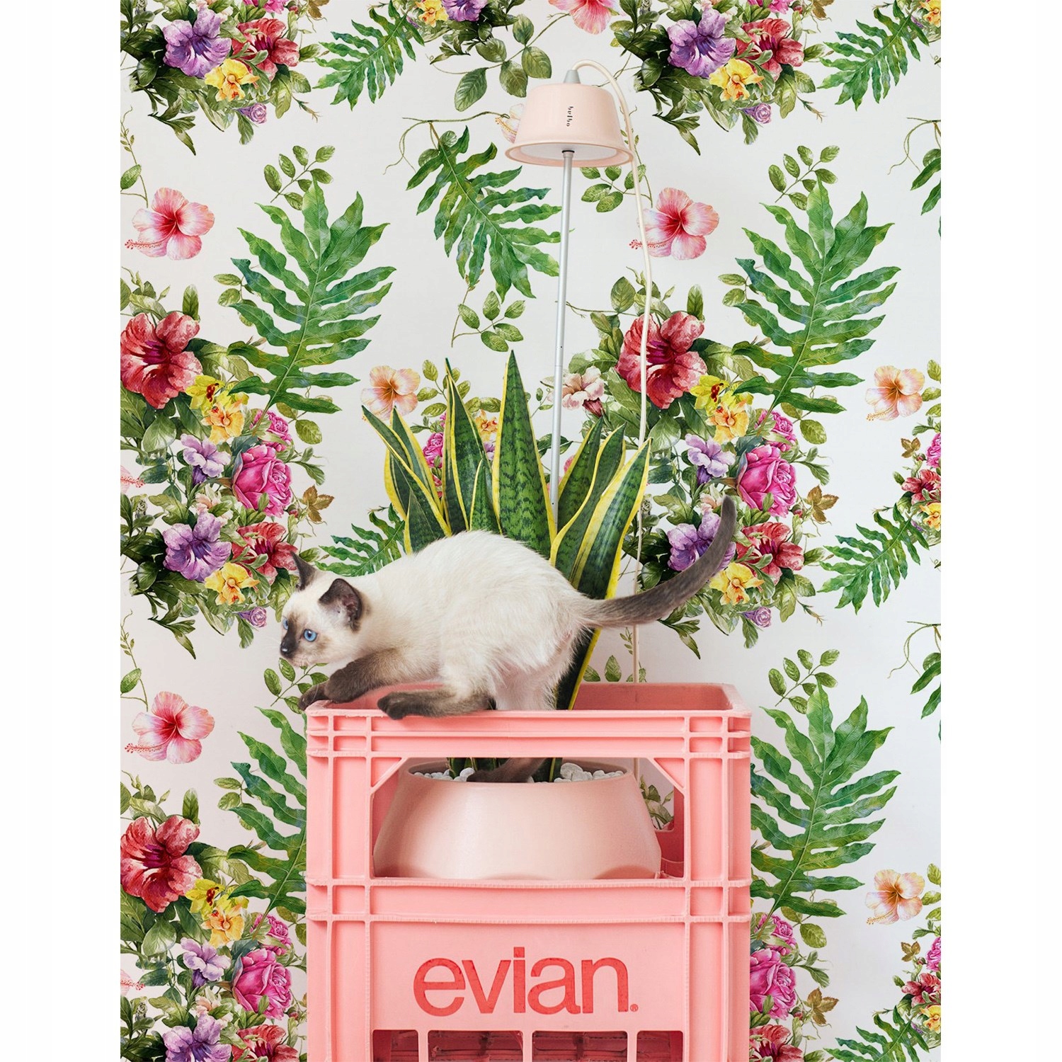 

Tapeta flizelinowa Liście i kwiaty 152x104 + klej