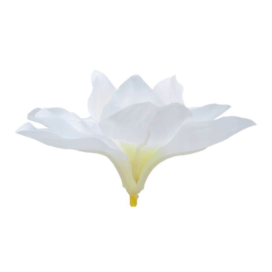 

Magnolia biała główka satynowa sztuczna wyrobowa