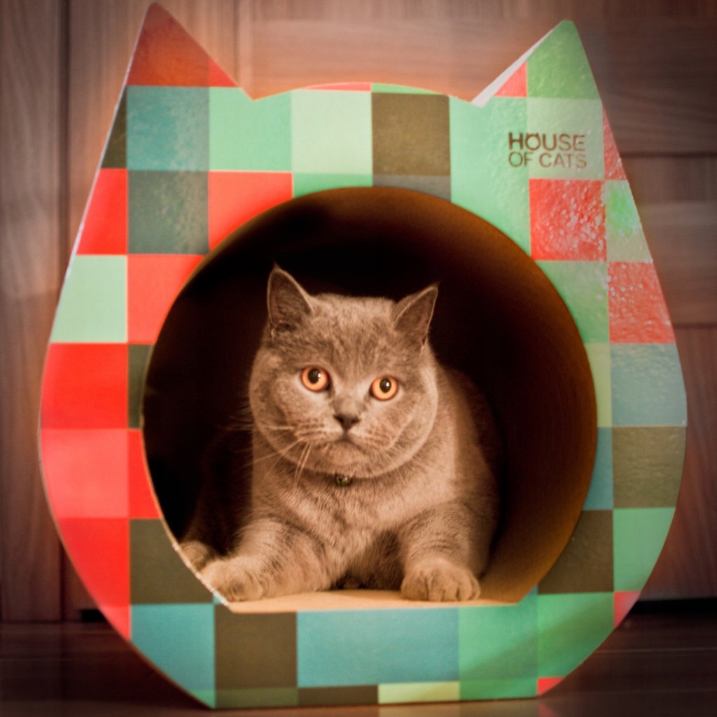 Velký kartonový škrabací dům Cat lehátko od House of Cats