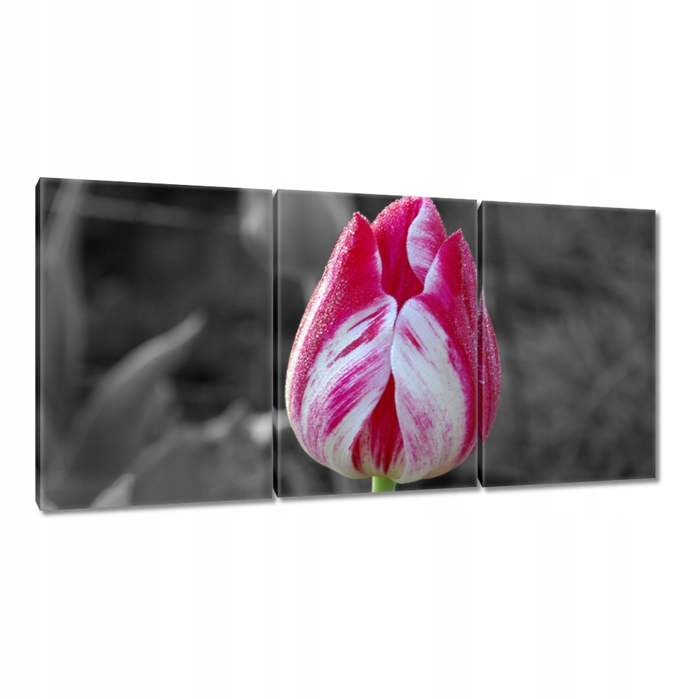 

Obrazy 120x60 Kolorowa główka