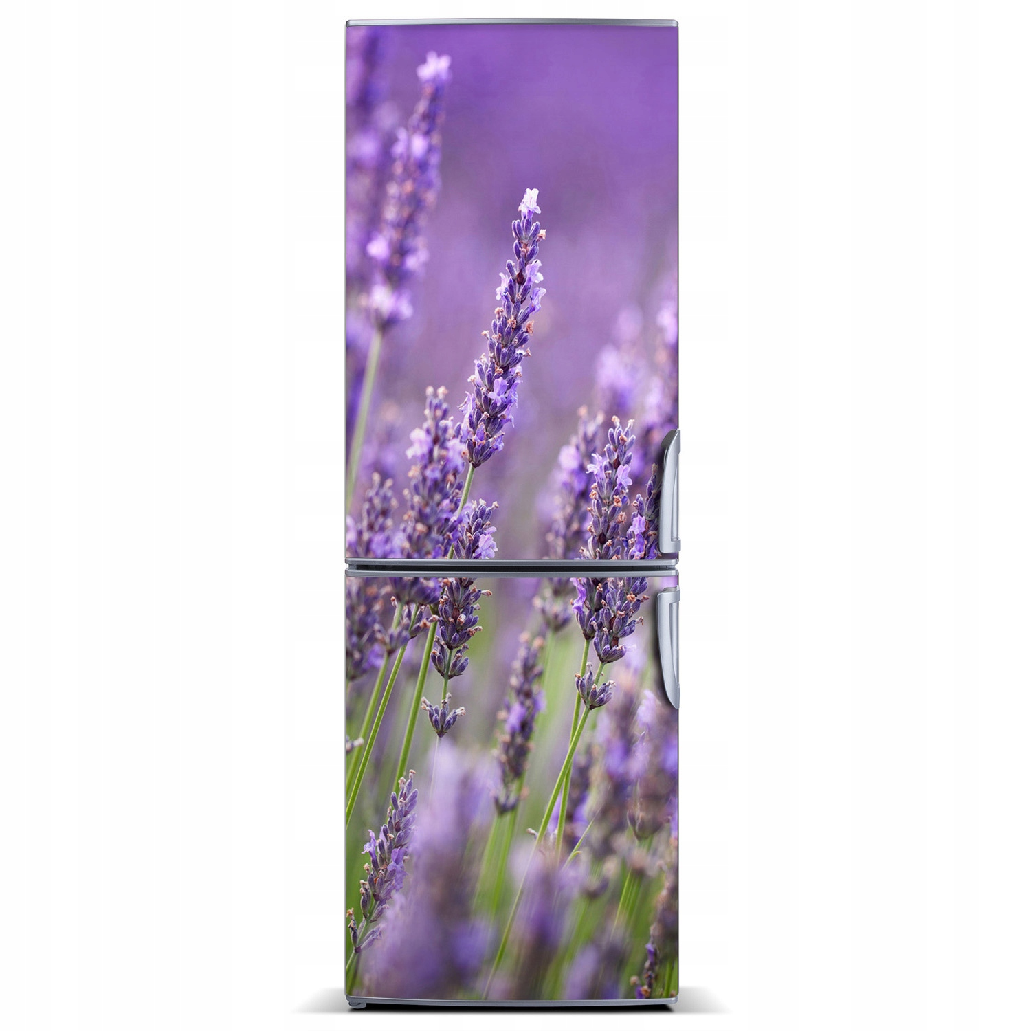 

Naklejka magnetyczna Magnes Pole lawendy 60x180