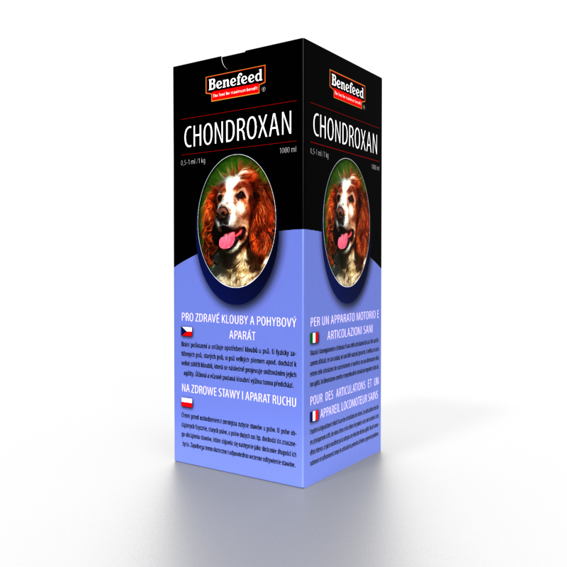 

Na zdrowe stawy i aparat ruchu Dla Psa Psów 1L