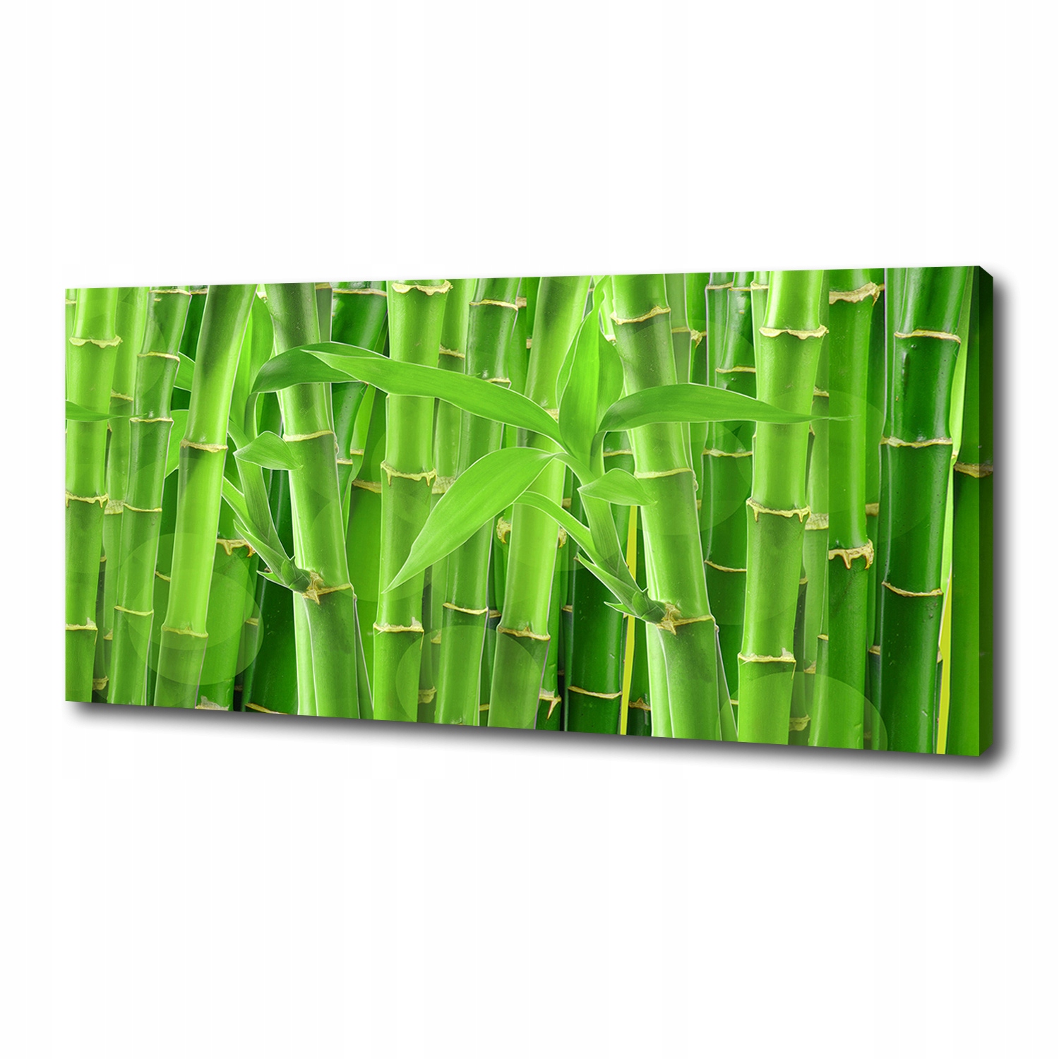 

Foto obraz canvas na ścianę Bambusy 125x50 cm