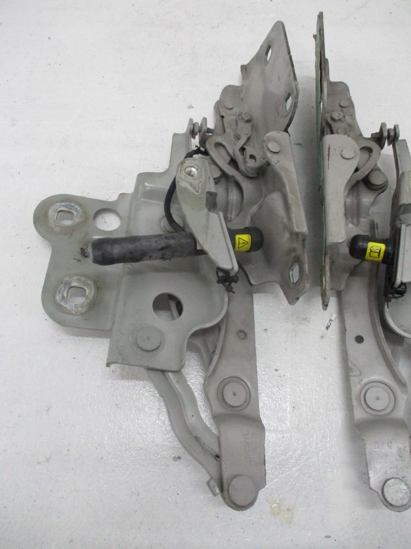 Cerniera del cofano JAGUAR E PACE J9C3-16800-BB