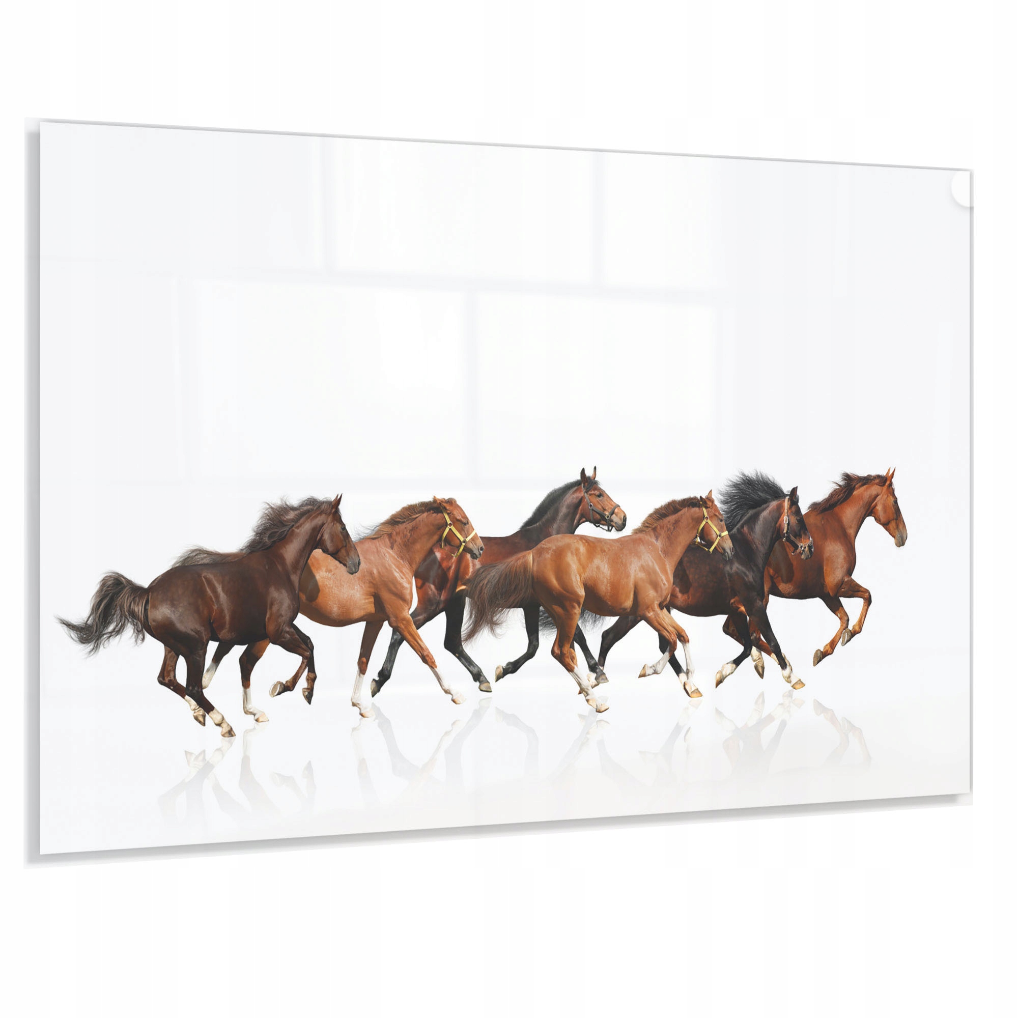 Kalený Panel 4 mm 80x60 cm Ochranný Do Kuchyne Dekoračný Lacobel