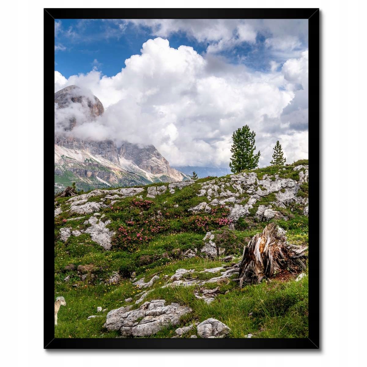 Plakáty v rámu 40x50 Ovečka v horách Pohled