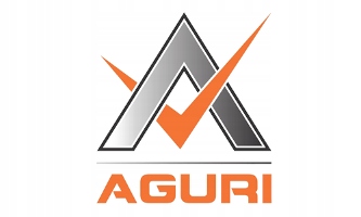 Uchwyt, wieszak ścienny na box dachowy, uchwyt na ściane Aguri Rodzaj wieszaki