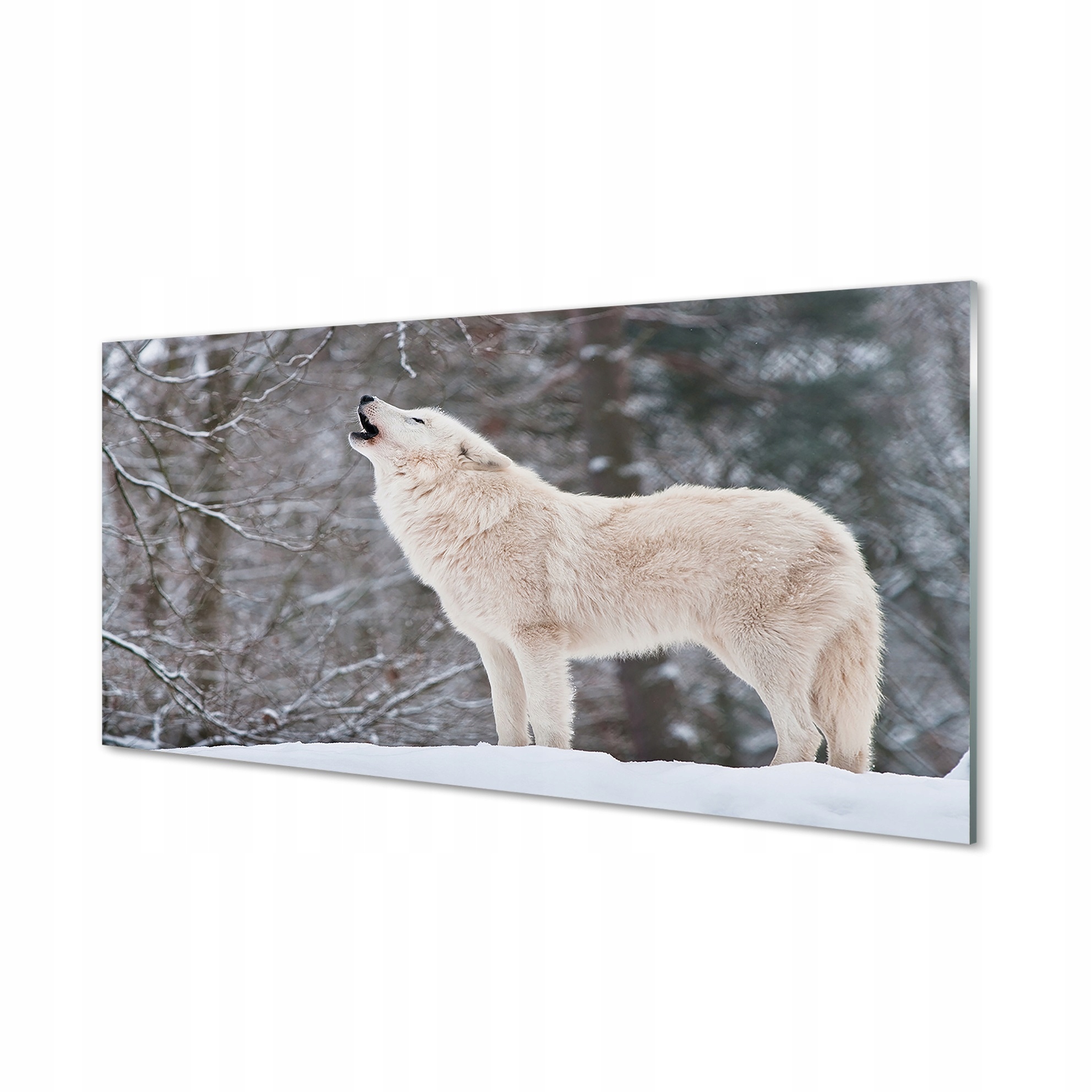 Foto obraz tvrzené sklo Vlk les zima 140x70 cm