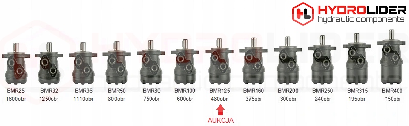 SILNIK HYDRAULICZNY BMR 125 O2W32 T HYDROLIDER Producent części Hydrolider