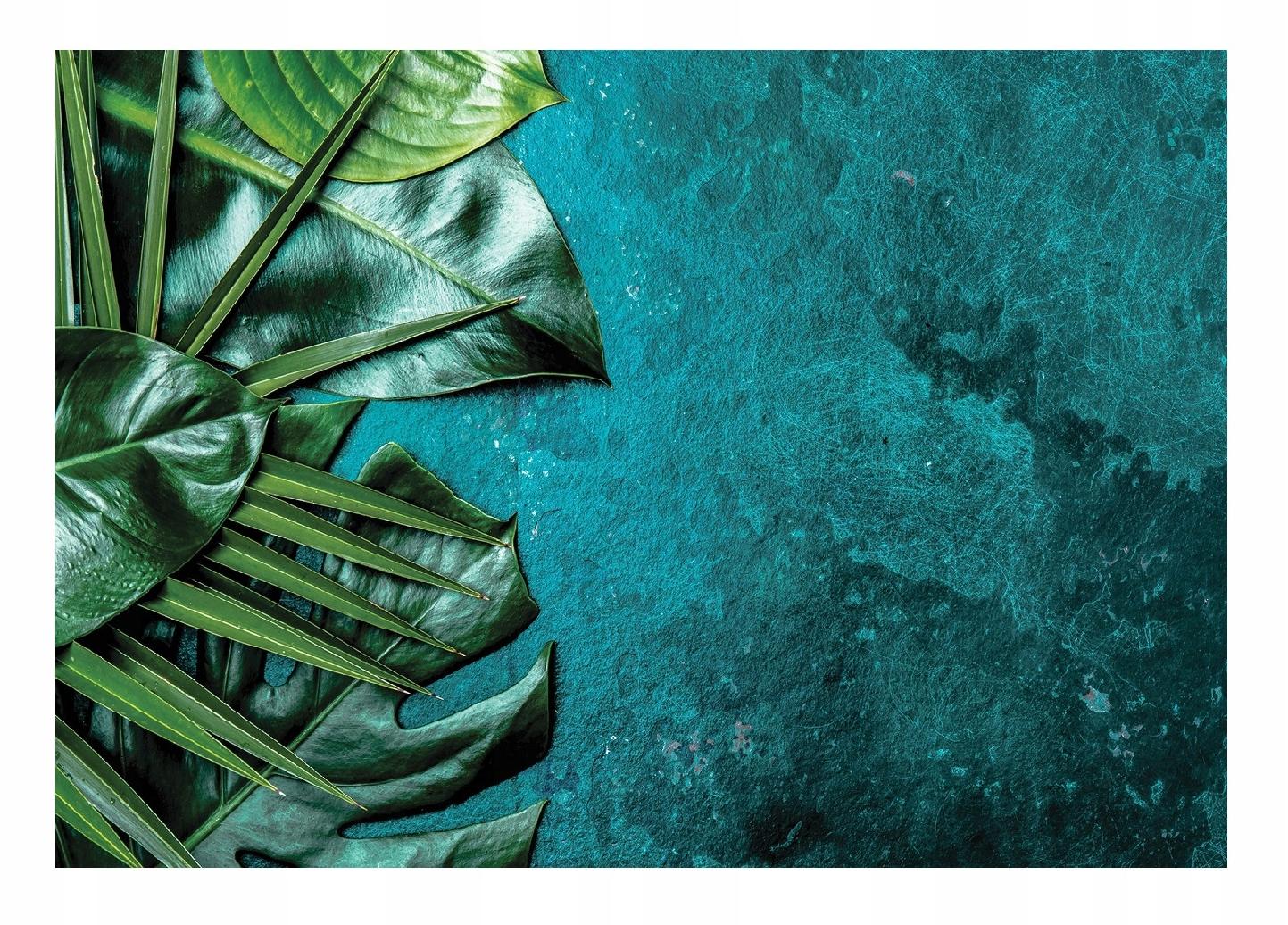 Fototapeta 3D Listy Monstera Beton Obývací Pokoj 520x318