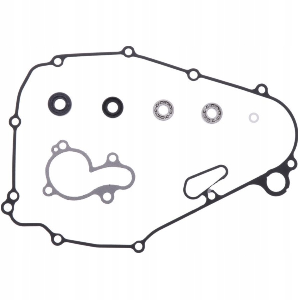 Sada na opravu vodného čerpadla Kawasaki Kx 450 F