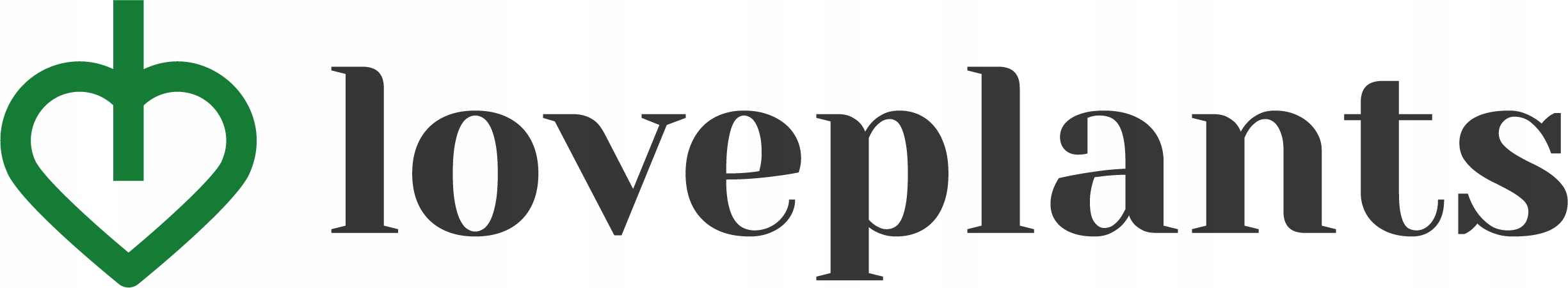 Doniczka z MCHEM CHROBOTKIEM czarna 60 cm MAT Rodzaj mech chrobotek