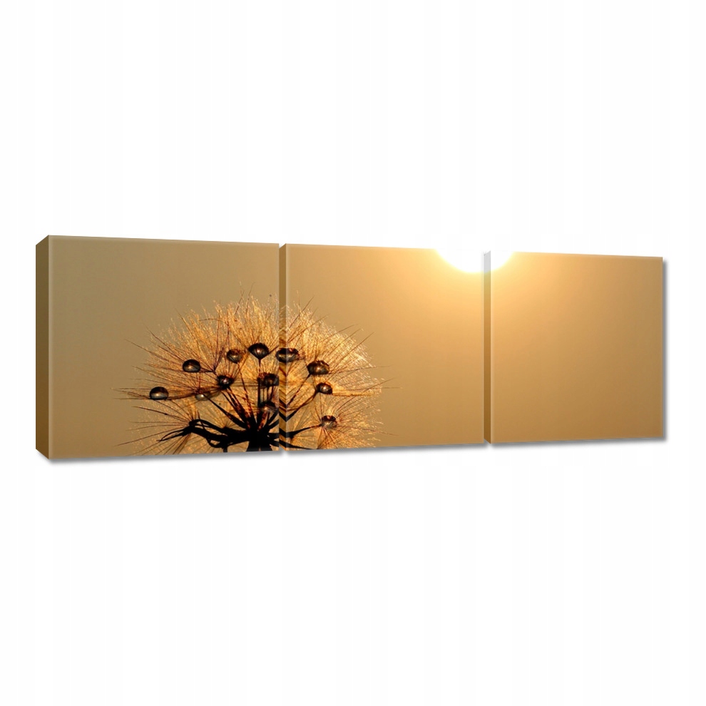

Obrazy 60x20 Dmuchawiec Kwiat Kwiatki