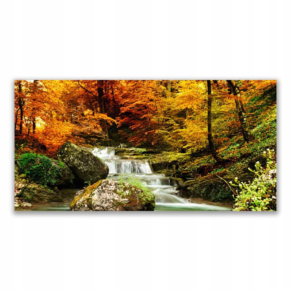 

Fotoobraz akryl ścienny 140x70 Wodospad Las Nature
