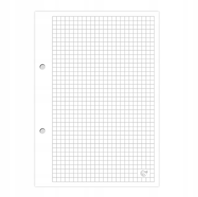 

Blok do segregatora A4 100 Kartek Kratka
