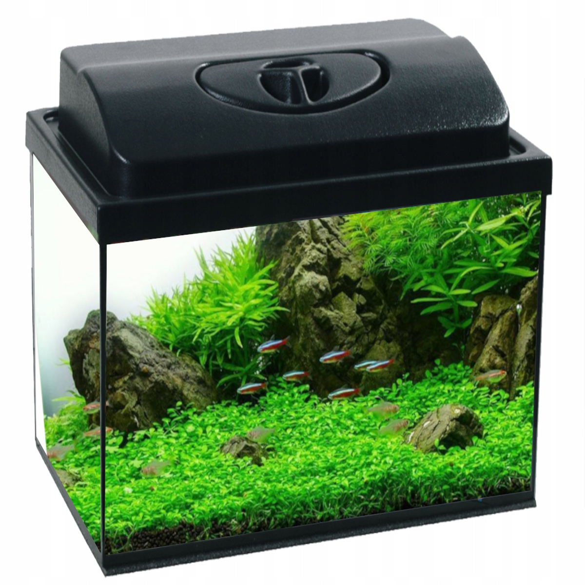 Akwarium 35L Proste 40x25x35cm+Pokrywa+4gratisy