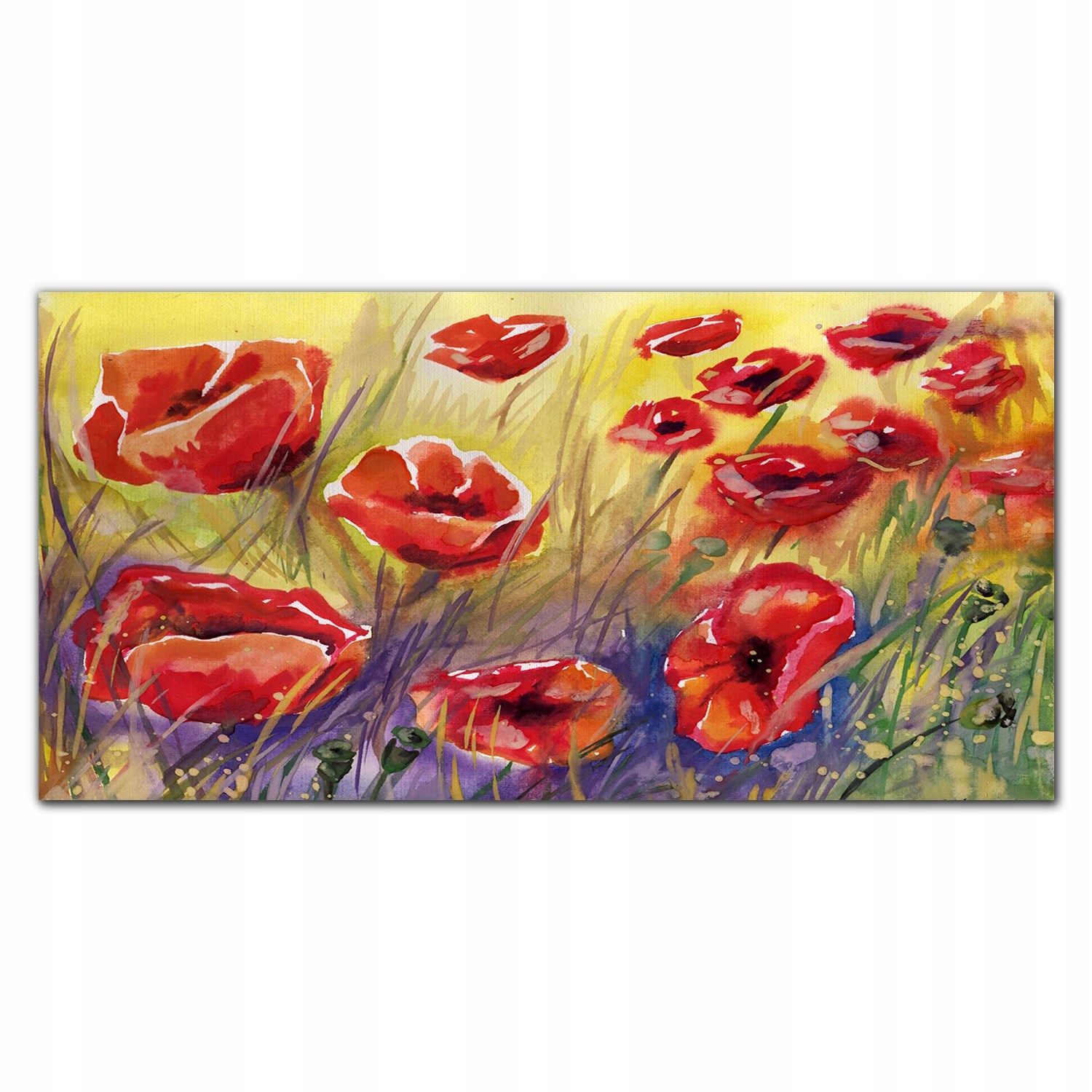 Foto-obraz na plátne Kvety rastliny maky 140x70