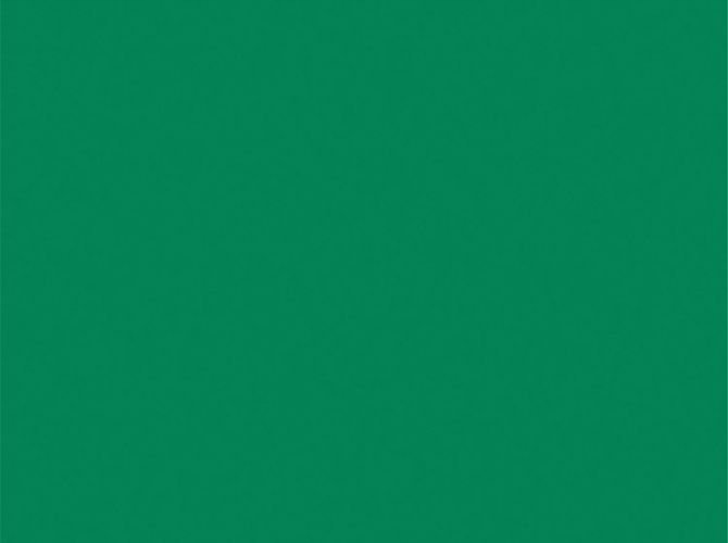 

Brystol A1 Karton Papier 86X61 CM Zielony Ciemny