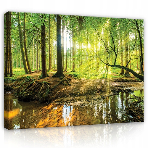 

Obraz na płótnie ścianę salon Las Pejzaż 120x80