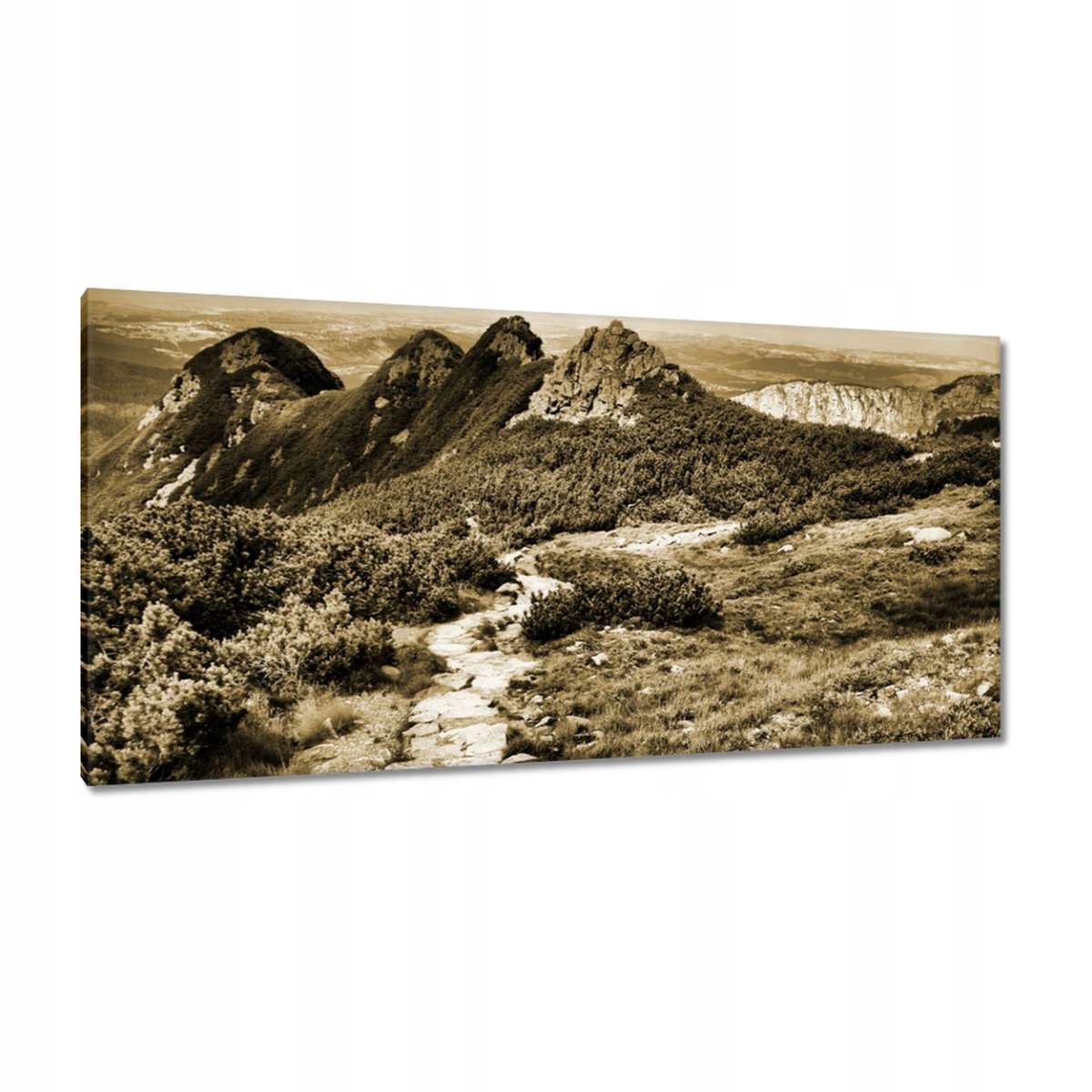 Obrazy 115x55 Tatry Polské hory Pohled