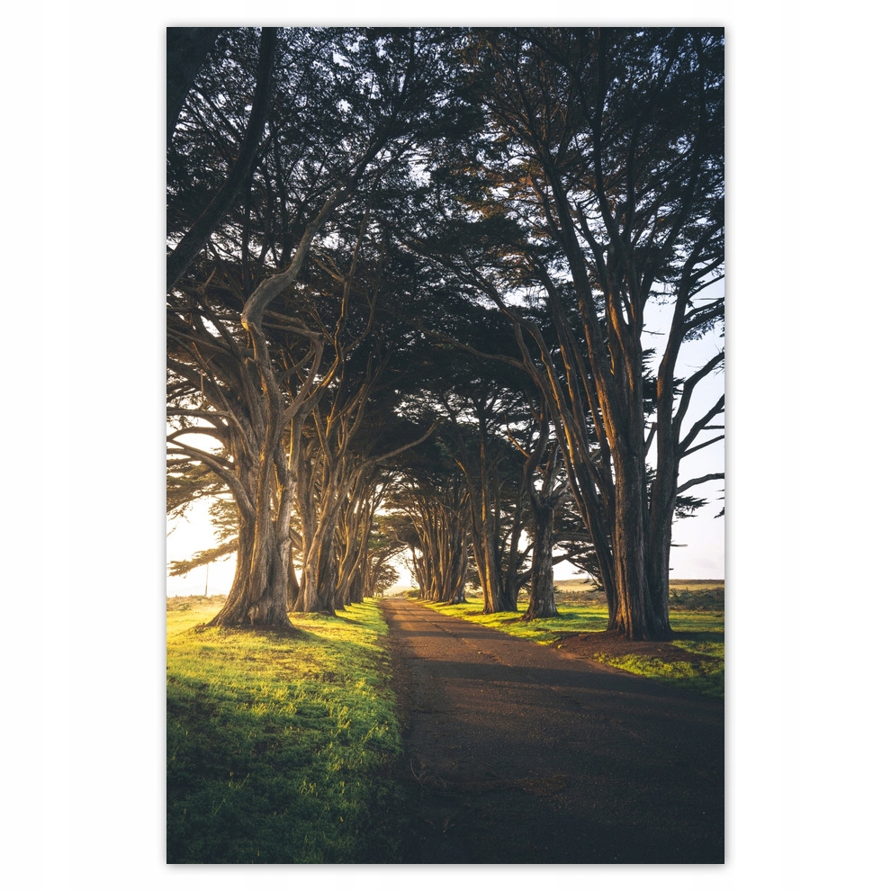 

Plakaty 62x93 Pejzaż Krajobraz Widoczek