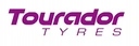 4x Tourador 225/65R17 X ALL CLIMATE TF2 106V 3PMSF Klasa pozostałe marki