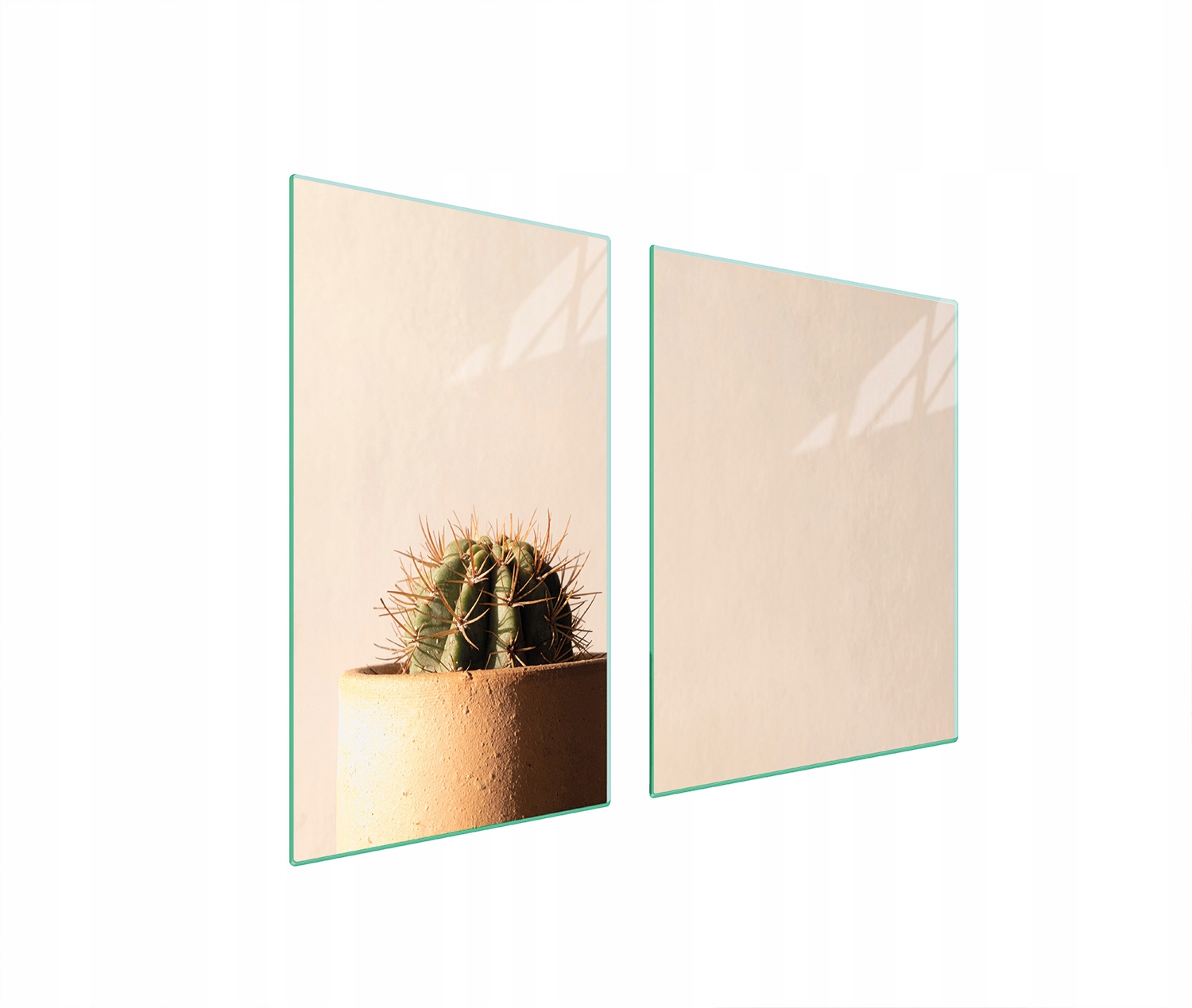 Skleněná Deska A Krájecí Prkénko 100x52 Kaktus Tvrzené Sklo