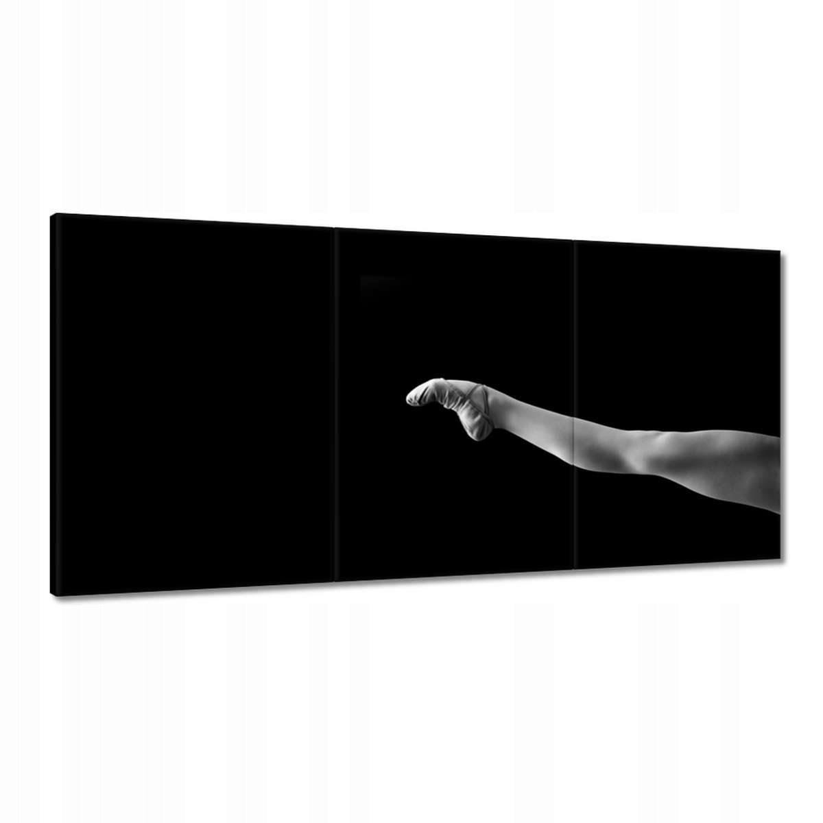 Obrazy 180x90 Baletka