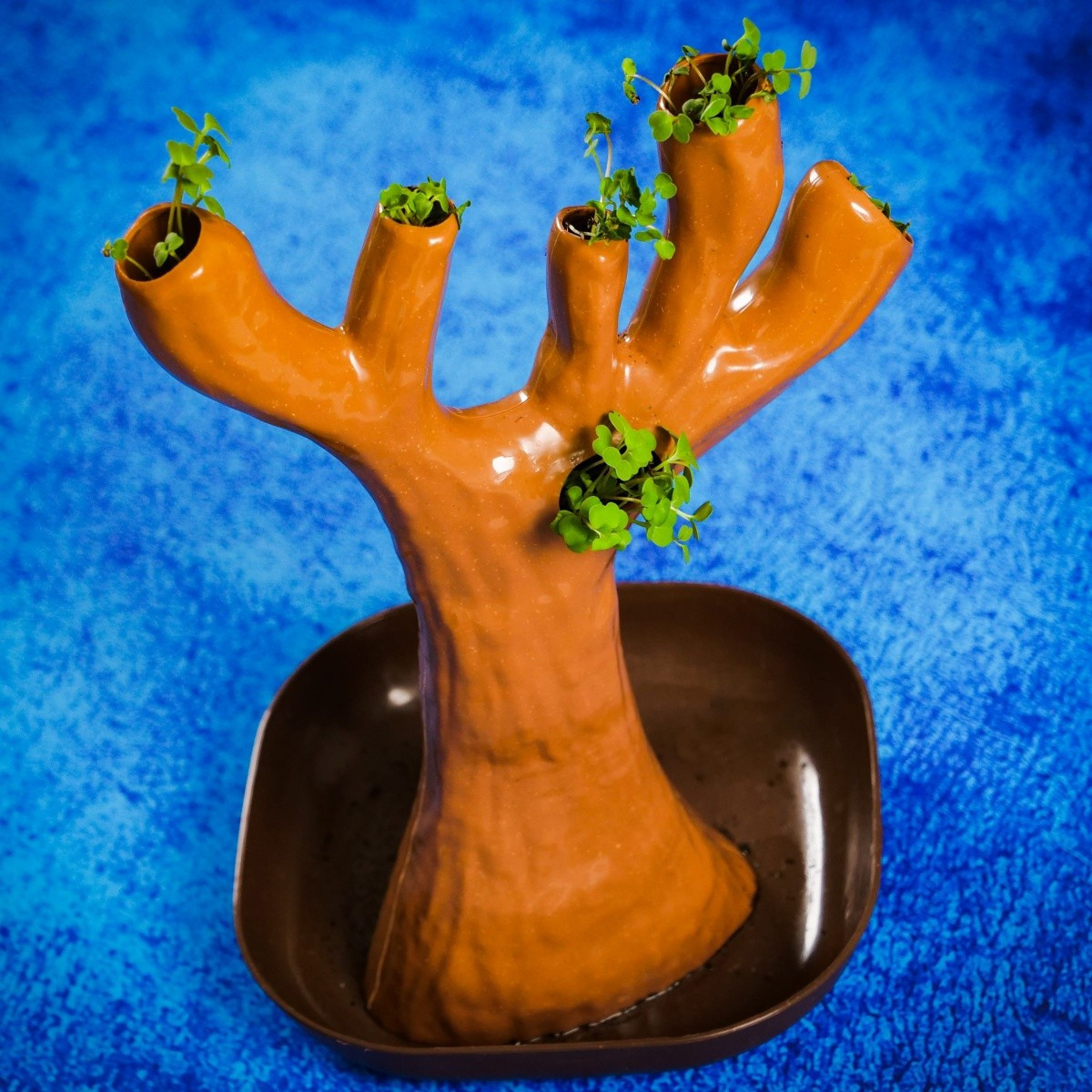 LISCIANI I'M GENIUS NAUKA W DOMU BOTANIKA 1368