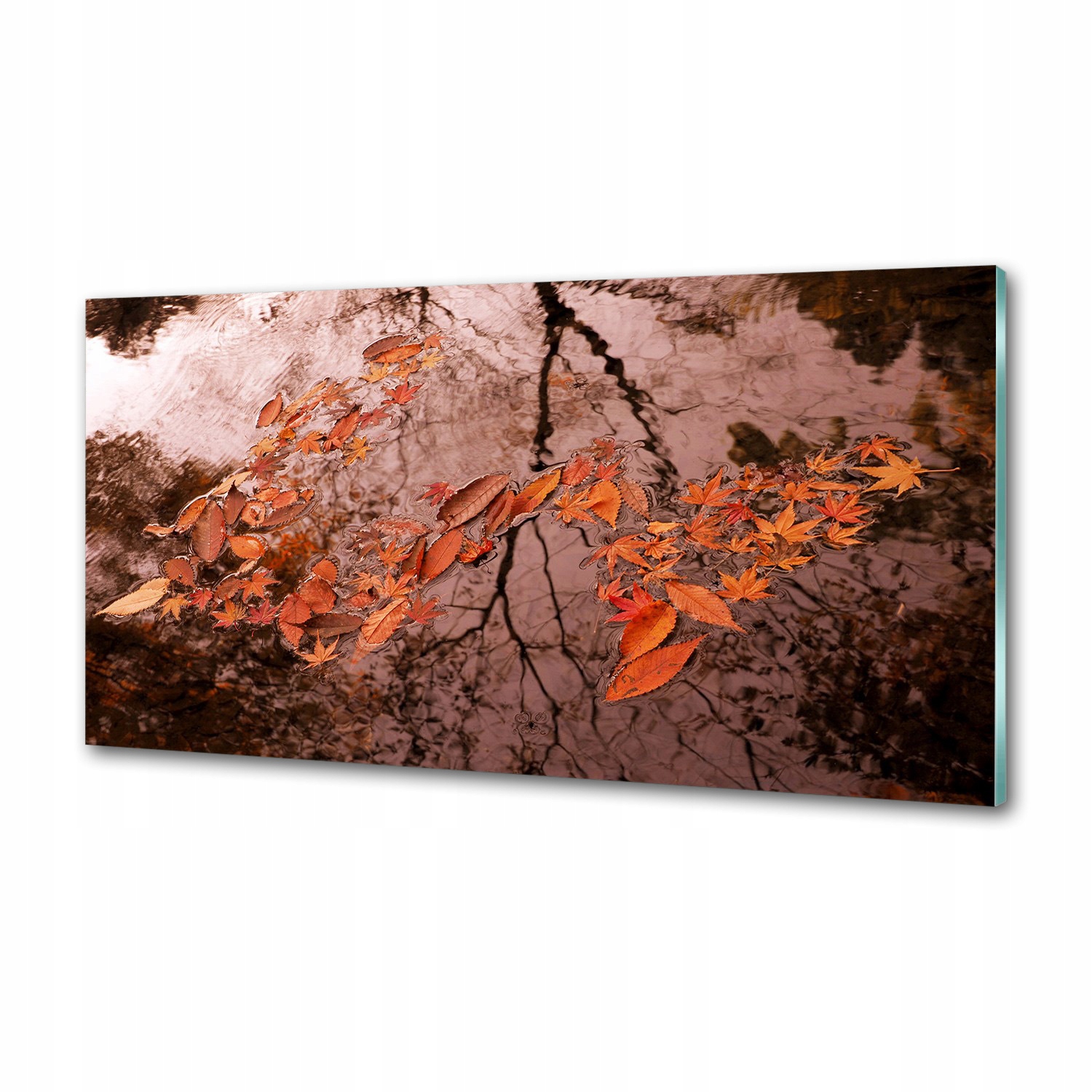 Panel do kuchyne Listy na vode 120 x 60 cm Lepidlo