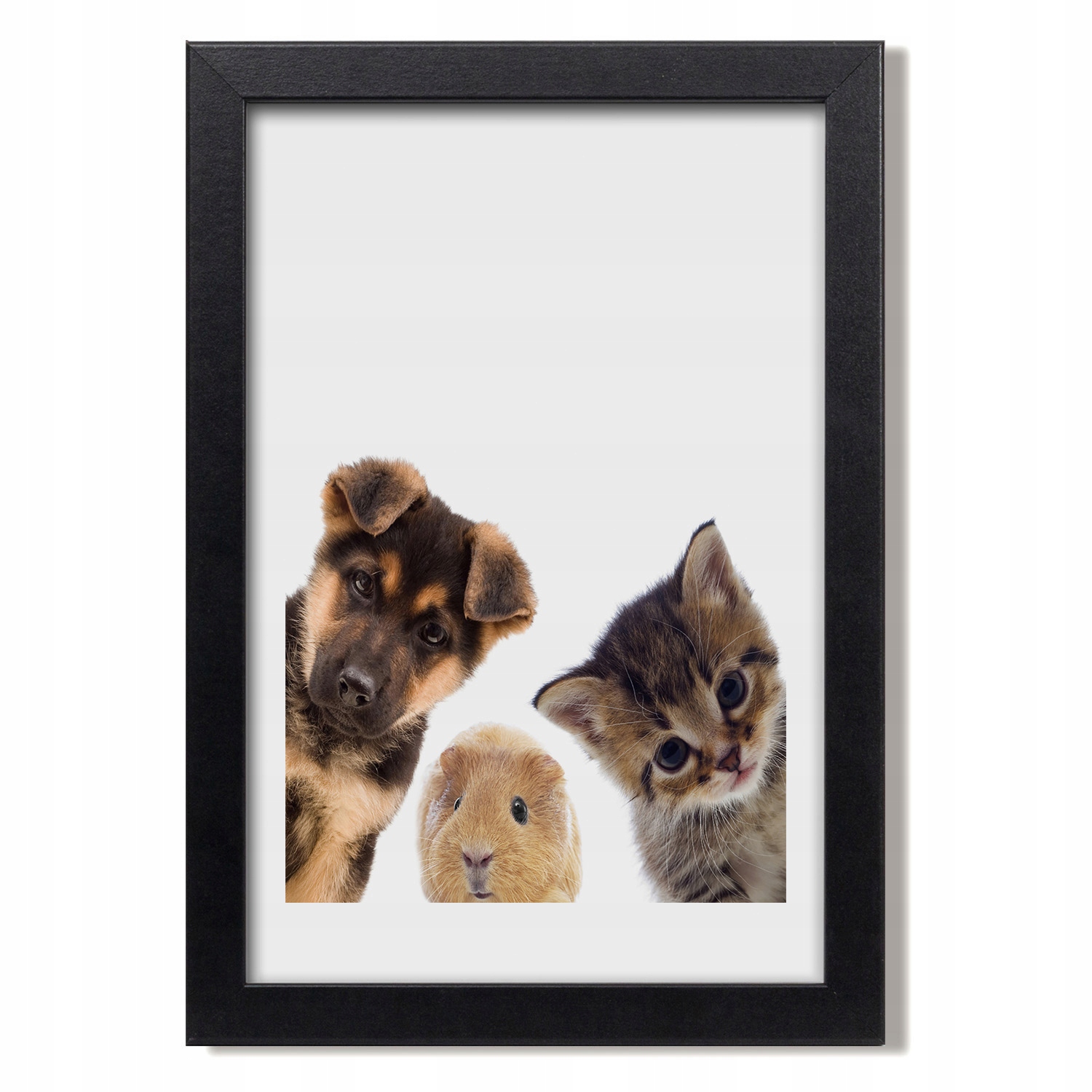 Foto obraz s grafikou Domácí zvířata 20x30 cm