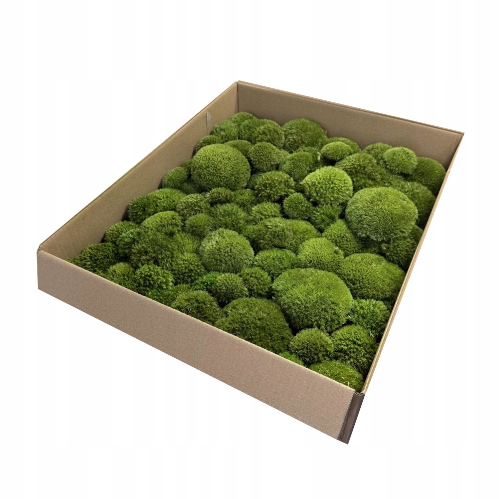 Premium Polštářový mech středně zeleň 0,5 m2