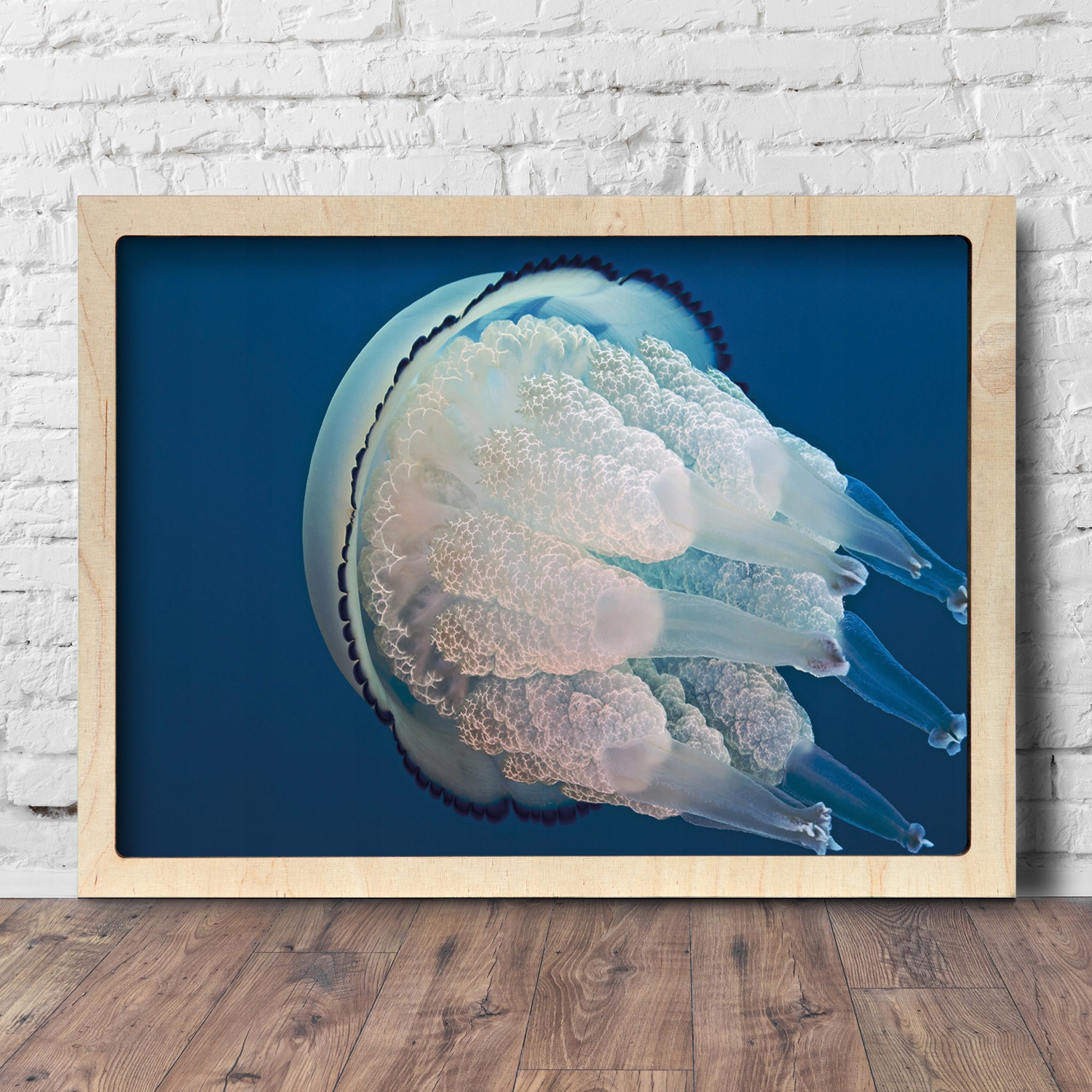 Obraz s dřevěným rámem Medúza moře oceán 75x55