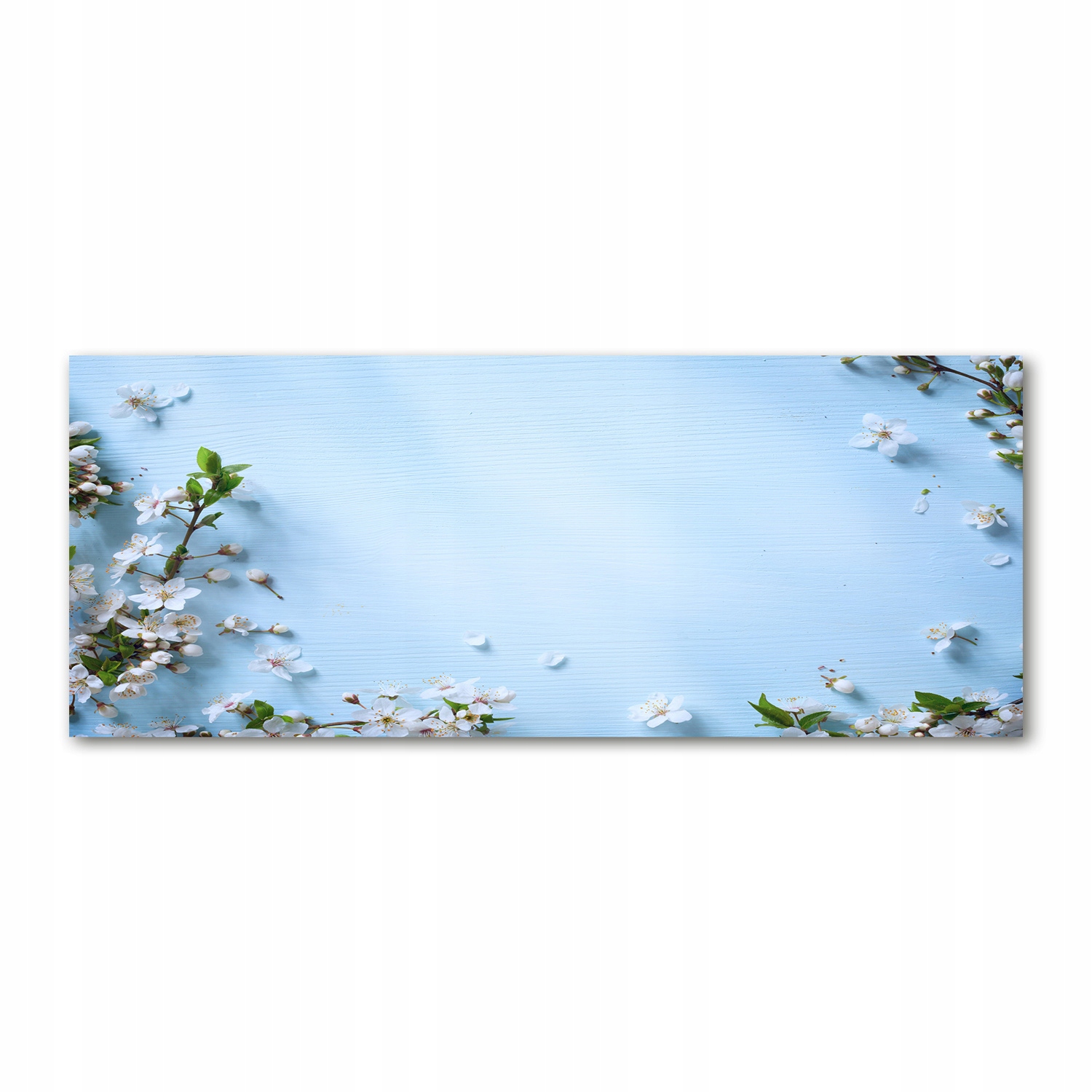 

Foto obraz szkło akryl Kwiaty wiśni tło 125x50 cm