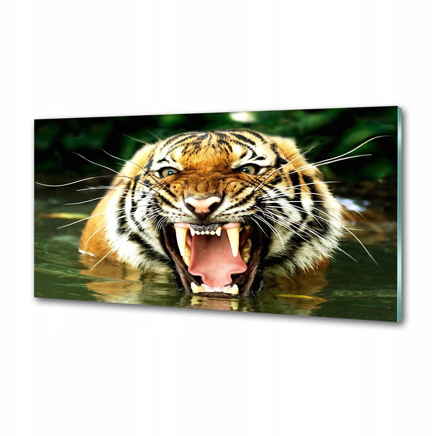 Panel do kuchyne Rečový tiger 120 x 60 cm Lepidlo