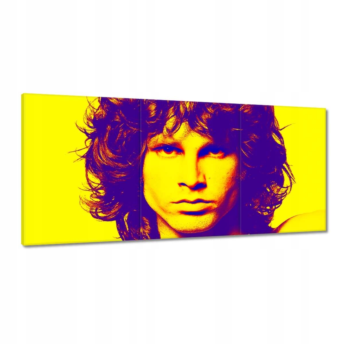 Obrazy 210x100 Frontman z The Doors