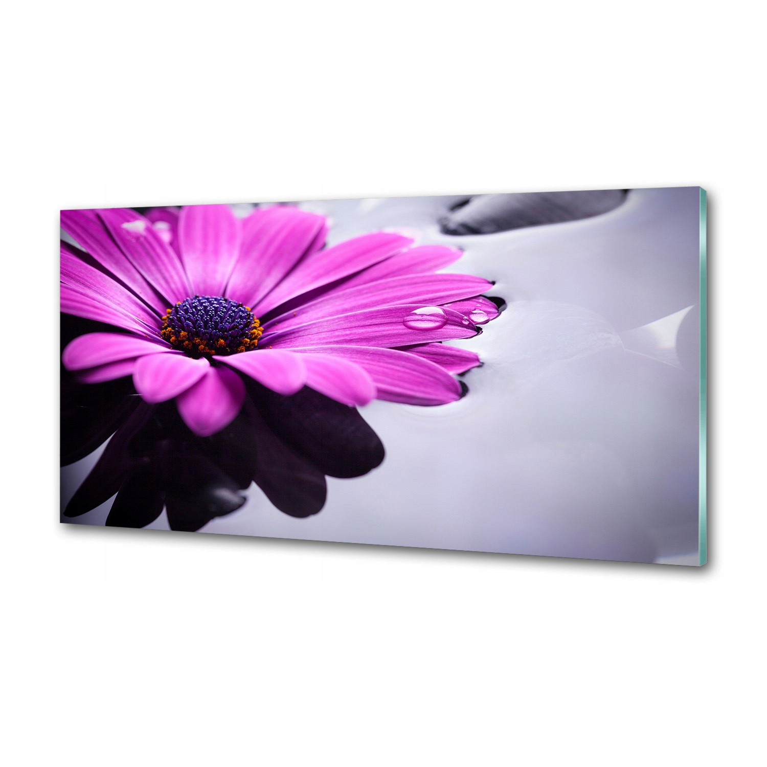 Sklenený panel do kuchyne Gerbera 100 x 50 cm Lepidlo