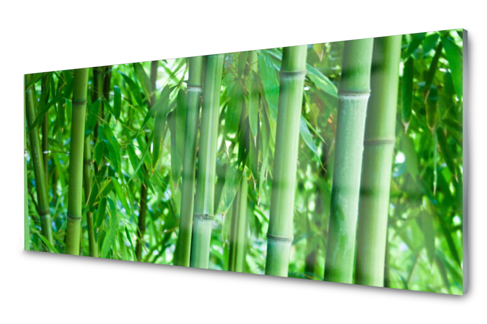 

Panel szklany do kuchni Bambus Łodyga 125x50