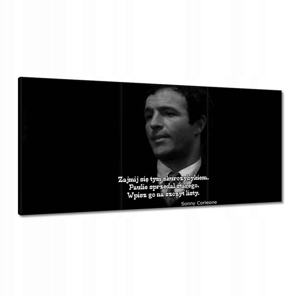 Obrazy 120x60 Godfather Sonny Citáty