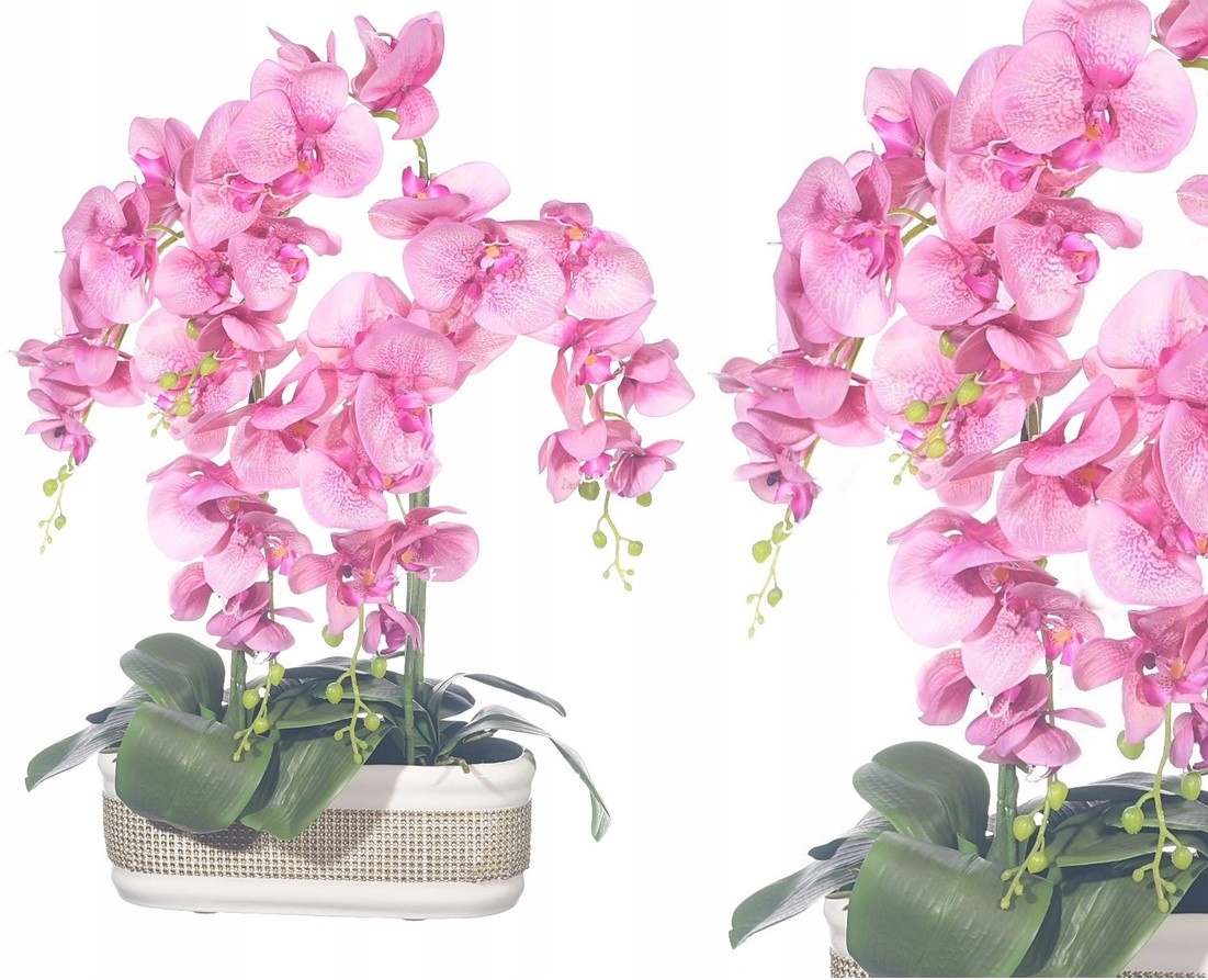 

Sztuczne Storczyki Sztuczny Storczyk Silikonowy