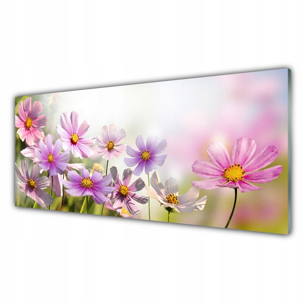 

Fotoobraz na ścianę 125x50 Kwiaty Roślina Natura