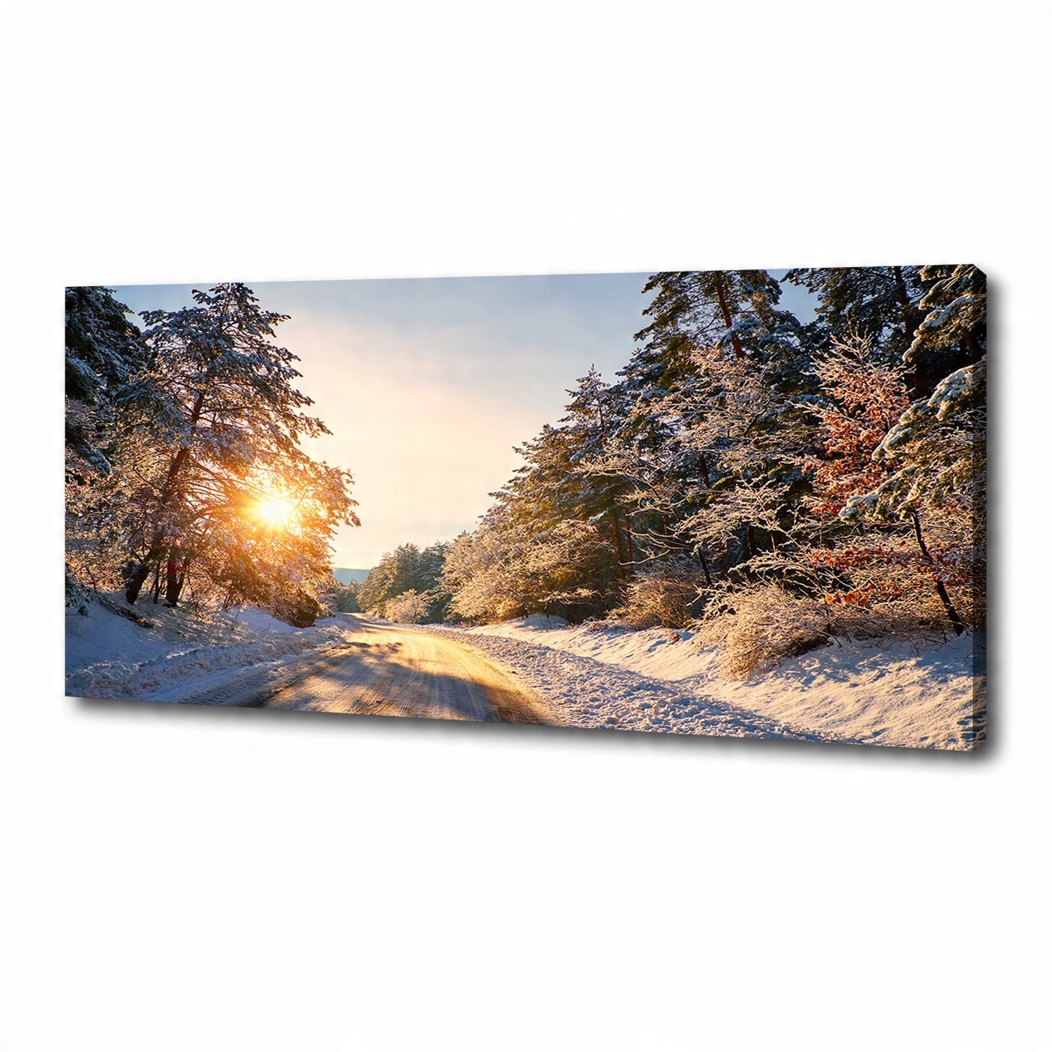 

Foto obraz na płótnie Droga w lesie zimą 125x50 cm