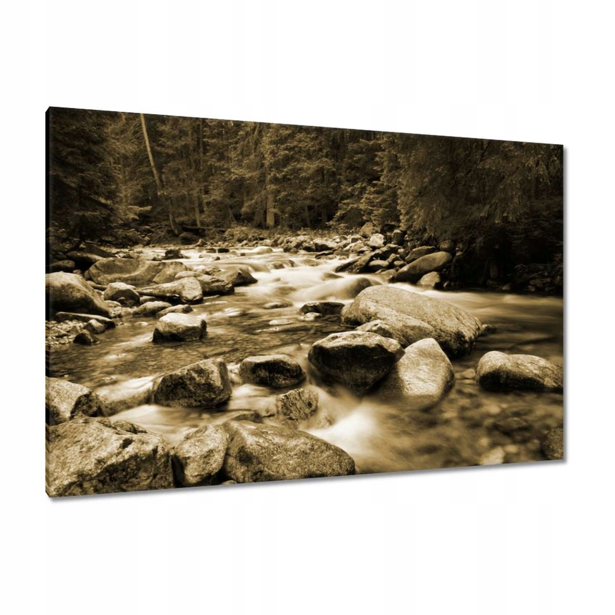 Obrazy 120x80 Tatry Polské hory Pohled