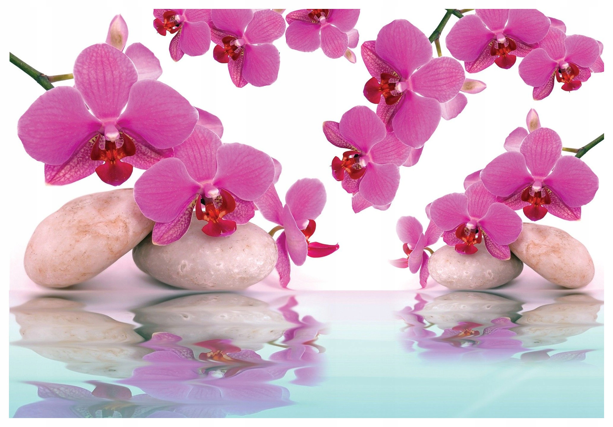 Fototapeta Orchideje kameny voda vinylová jemná růžová 208x146 lepidlo